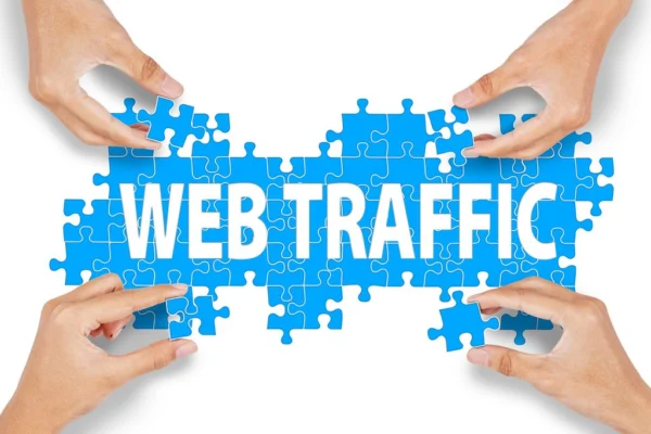 Optimalkan Jenis-Jenis Traffic Website Ini!