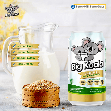 BIG KOALA - POST PLAN JULI 2021_v1.4-03 1