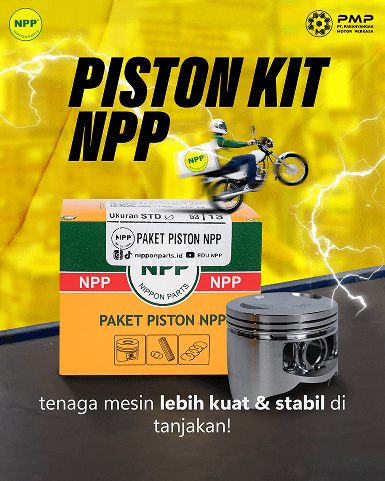 piston kit npp